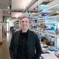 OHSU researchers use AI machine learning to map hidden molecular interactions in bacteria