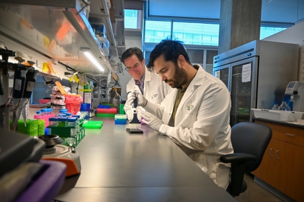New blood test identifies hard-to-detect pancreatic cancer with 85% accuracy