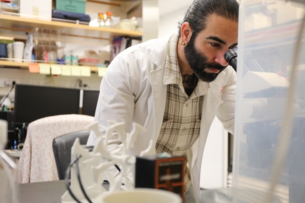 New research sheds light on glaucoma’s progression