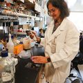 New research sheds light on glaucoma’s progression