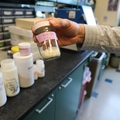 Study shows promise in targeting the parasite that causes malaria