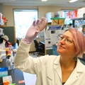 Study: Dangerous E. coli strain blocks gut’s defense mechanism to spread infection