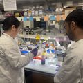 OHSU awarded $1.4 million for new cancer drug development training program