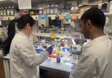 OHSU awarded $1.4 million for new cancer drug development training program 