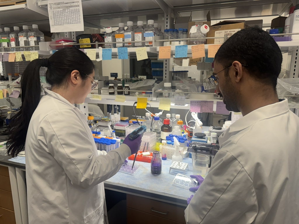 El estudiante de posgrado Jee Min Lee y Dhanir Tailor, Ph.D., en el Centro para Terapias Experimentales del Knight Cancer Institute de OHSU. (OHSU)