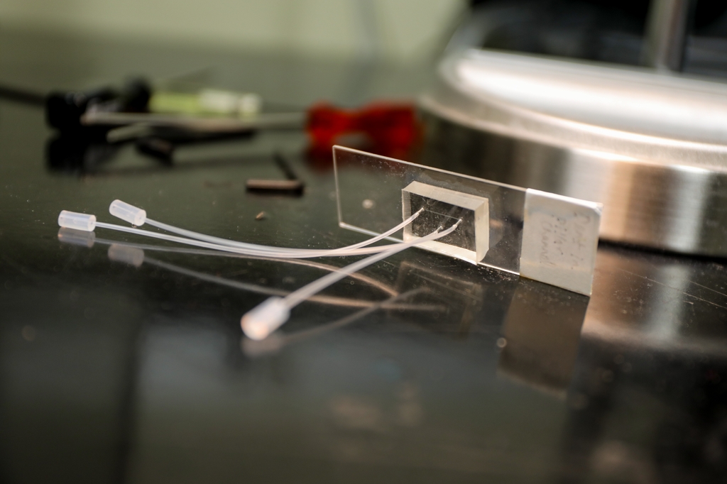 Una nueva iniciativa internacional de investigación acelerará el desarrollo de vasos sanguíneos artificiales, como este en el laboratorio de la OHSU del Dr. Owen McCarty, que imitan fielmente las características esenciales del sistema circulatorio humano, incluyendo el flujo sanguíneo, la estructura vascular y la formación de coágulos. (OHSU/Christine Torres Hicks)