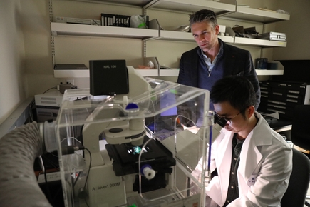 OHSU es parte de iniciativa basada en el Reino Unido para transformar el modelado de enfermedades humanas