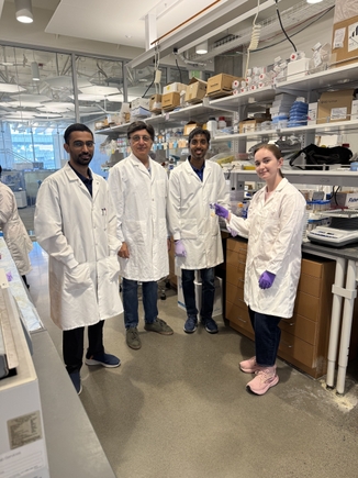 OHSU researchers develop promising drug for aggressive breast cancer 