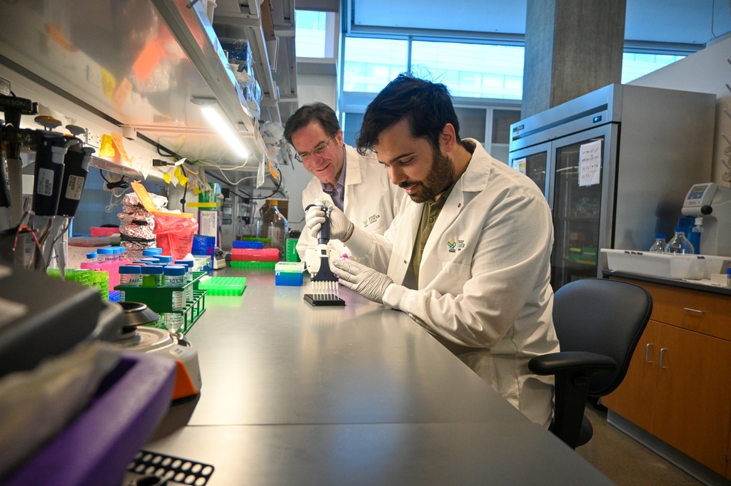 New developments in cancer