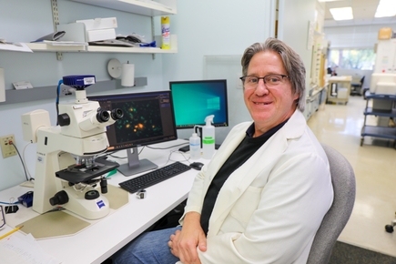 Estudio implica enzima en condiciones neurodegenerativas