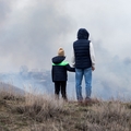 OHSU study finds exposure to common air pollutants alters adolescent brain development