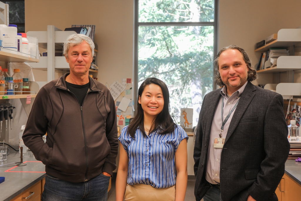 La imagen es de Malouli, a la derecha; Wang, al centro; y Frueh, a la izquierda, todos juntos en el laboratorio, sonriendo. En un nuevo estudio, los investigadores de OHSU Daniel Malouli, Ph.D., Klaus Früh, Ph.D. y Hsuan-Yuan (Sherry) Wang, Ph.D. descubren información crítica para informar el desarrollo de una vacuna efectiva para bloquear la propagación de un virus del herpes común y potencialmente peligroso para los bebés no nacidos. (OHSU/Christine Torres Hicks)