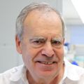 Eliot Spindel, M.D., Ph.D., has short white hair, a white dress shirt and is smiling in his lab.