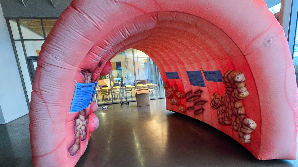 Image is of a giant, inflatable colon (pink, u-shaped with images of colon findings inside that you can walk through)  is used as an outreach tool to persuade people to get screened for cancer. Melinda Davis, Ph.D.,&nbsp;and Jennifer Coury, M.S.,&nbsp;are co-authors on a new study that shows a combined effort of mailing stool-based tests and providing patient navigation to follow-up procedures significantly increased screenings for colorectal cancer in rural Oregon. (OHSU)