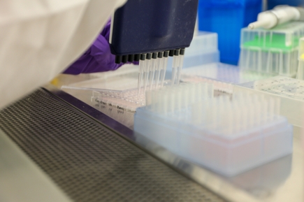 Investigadores de OHSU identifican un gen que podria ser clave para una futura vacuna contra el VIH