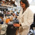 Nueva investigación vierte luz sobre la progresión del glaucoma