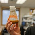 Una célula cerebral a menudo pasada por alto podría ayudar a prevenir enfermedades y desarrollar tratamientos