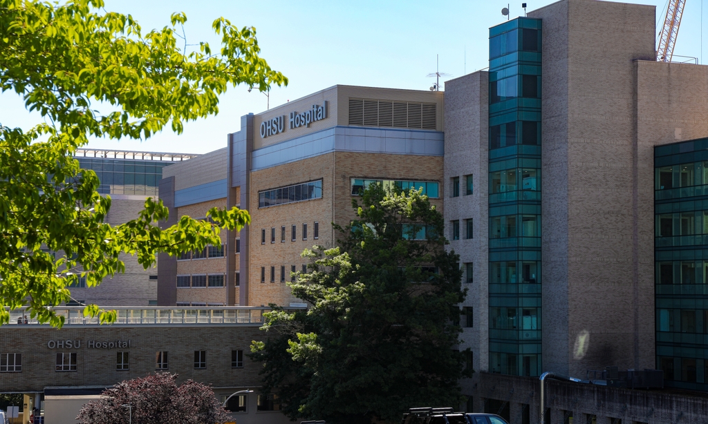 La imagen muestra el edificio del Hospital OHSU desde el estacionamiento, con un bonito árbol verde en primer plano. Una evaluación independiente del Centro para la Efectividad de los Sistemas de Salud del programa IMPACTS, financiado por el estado, de la Universidad de Salud y Ciencias de Oregón, indica que ha resultado en menos condenas penales, menor reincidencia y mayor participación en el tratamiento por consumo de sustancias. (OHSU/Christine Torres Hicks)