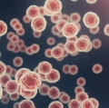 5 labs, 2 years, 1 goal: Solving the equations of cancer cell behavior