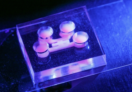 NIH funding for chip model of cancer and more
