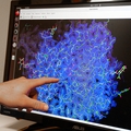 OHSU scientists uncover how cellular receptors are linked to disease