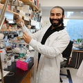 Karimi lab