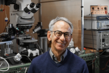 Stephen Back, M.D., Ph.D. (OHSU)