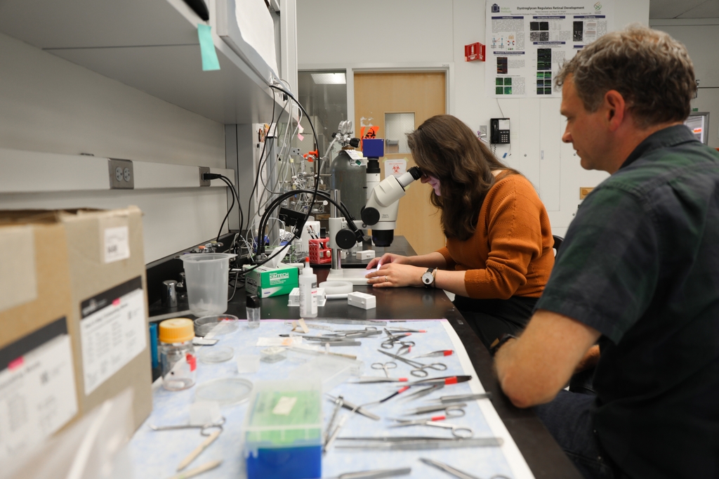 Dystroglycanopathy protein discovery