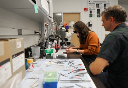 Dystroglycanopathy protein discovery