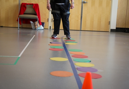 OHSU Balance Disorder Lab studies movement in Parkinson’s patients