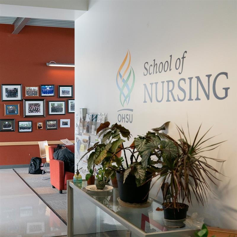 School of Nursing