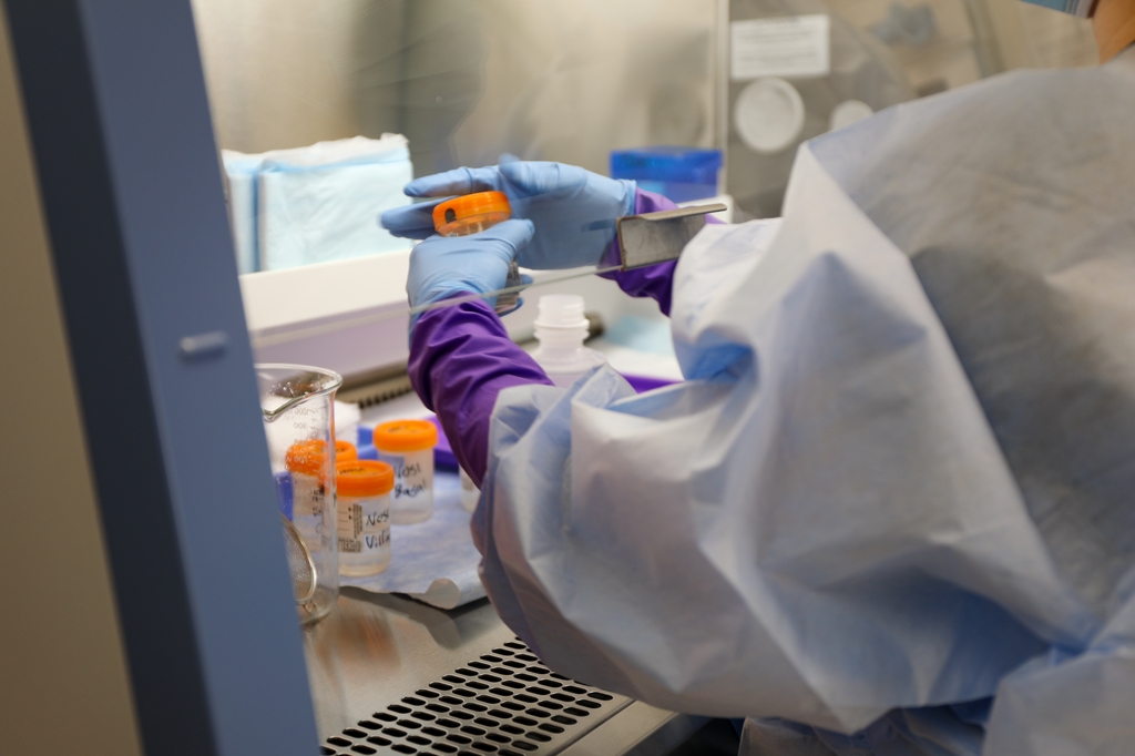 Cannabis use and fertility research