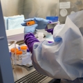 Cannabis use and fertility research