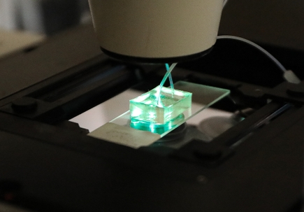 Artificial blood vessel research