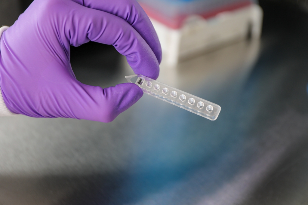 Organs-on-a-chip research and technology