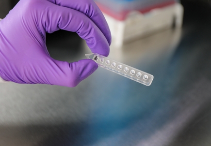 Organs-on-a-chip research and technology