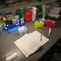 Research at OHSU