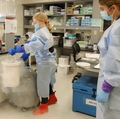 Maternal Fetal Medicine Research Unit at OHSU
