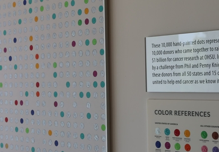 B-roll: Fundraiser Art Display