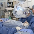 Participants of pioneering CRISPR gene editing trial see vision improve