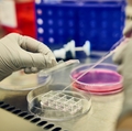 Knight Cancer Institute Research Lab