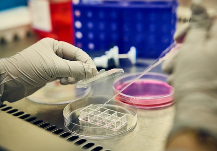 Knight Cancer Institute Research Lab
