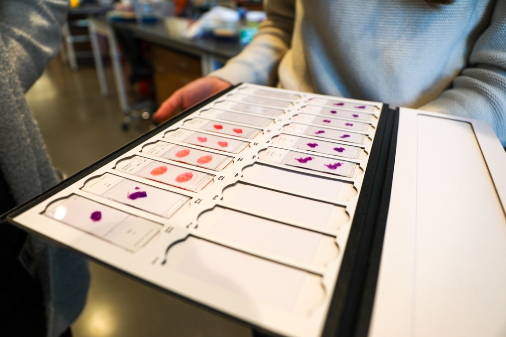 Breakthroughs in cancer research