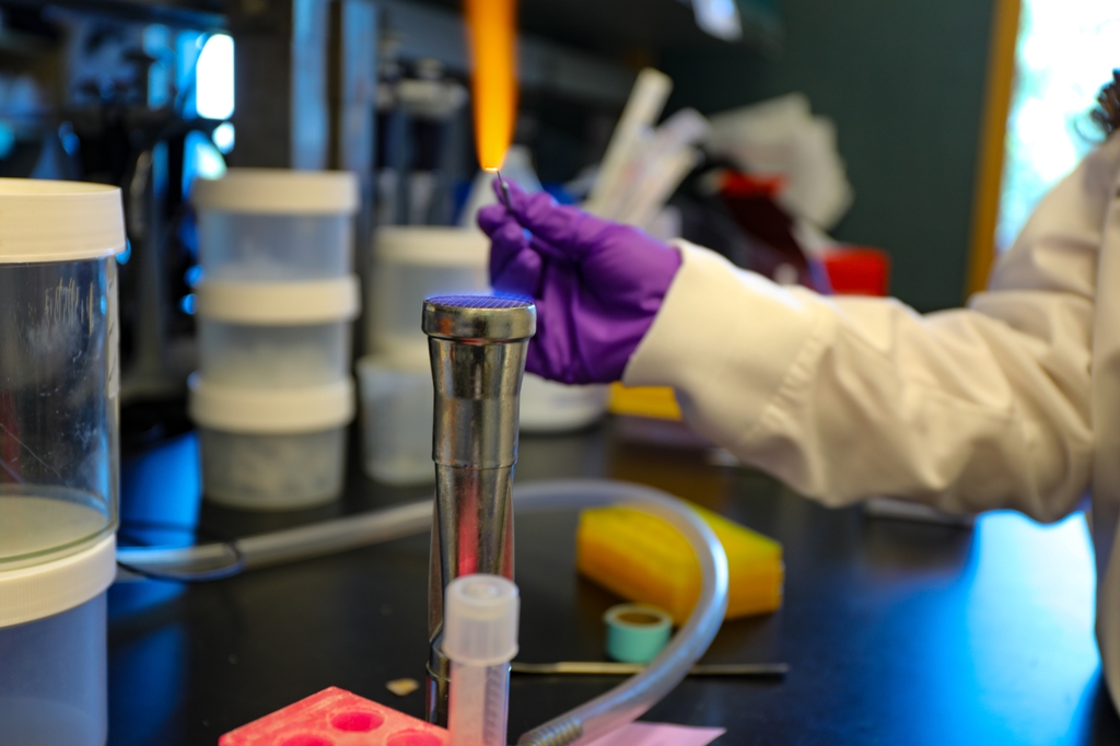 Bacteria research