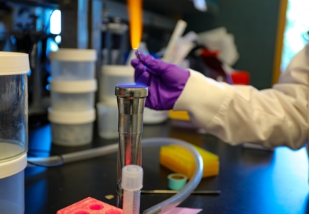 Bacteria research
