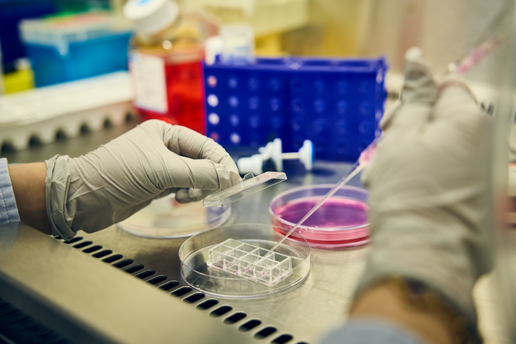 Knight Cancer Institute Research Lab