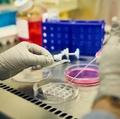 Knight Cancer Institute Research Lab