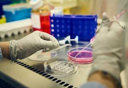Knight Cancer Institute Research Lab