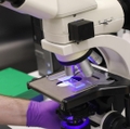VIDEO: Scope work up close