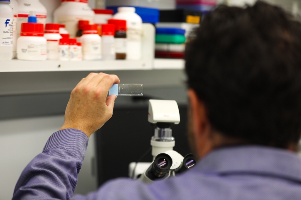 Researcher looking at a tissue slide in OHSU lab